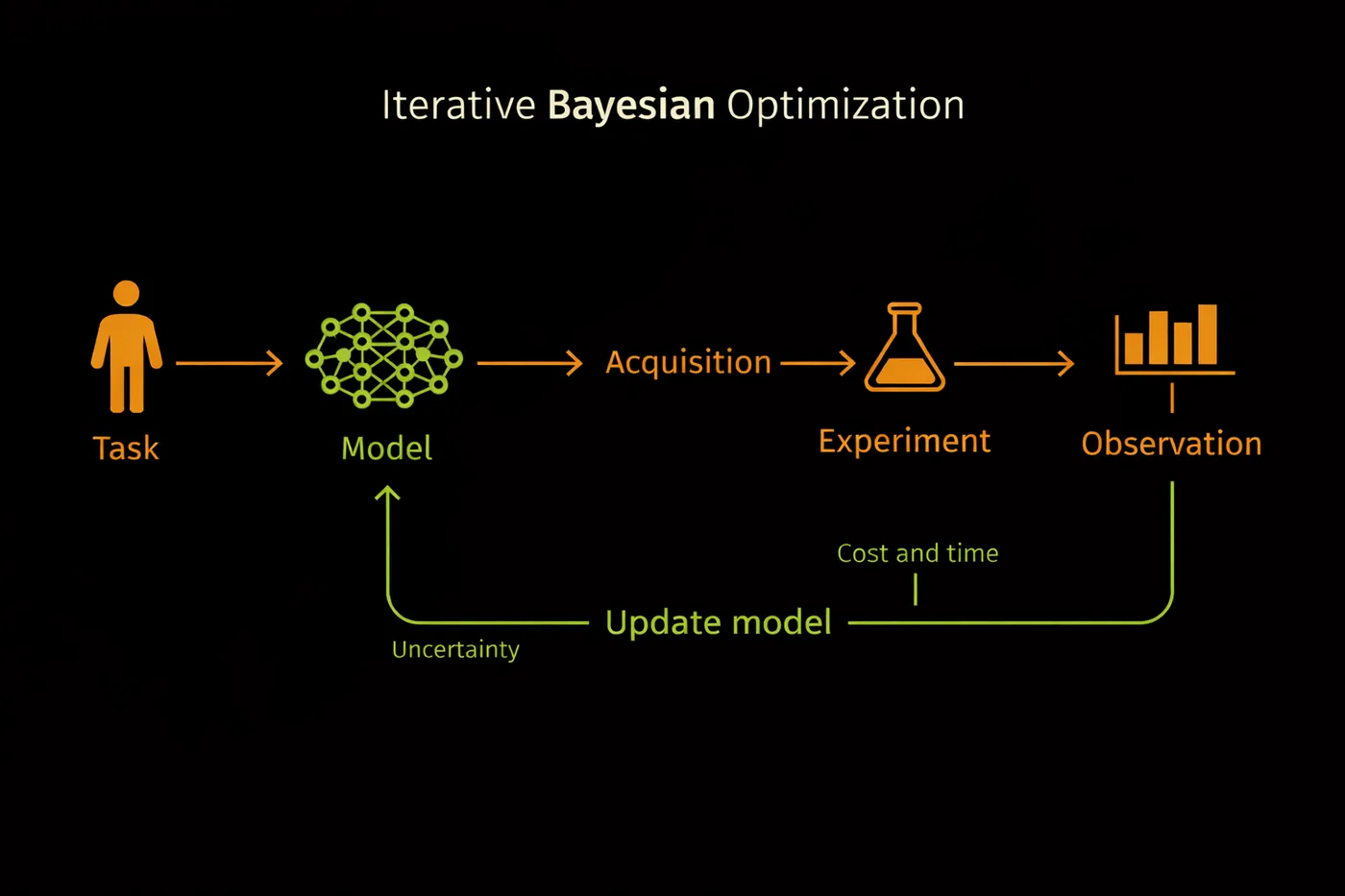 The Bayesian optimization loop: model, choose the next experiment, observe, repeat